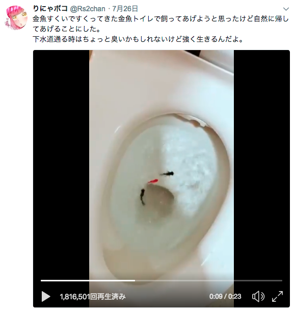 トイレに金魚を流す投稿をしたTwitterユーザーが大炎上！本人も働いているお店も特定